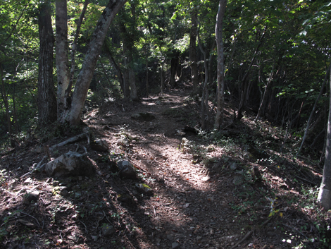 20151014hike (102)